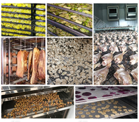 Équipement de séchage de chips de fruits de datte de pomme Machine de déshydrateur d'ail noir de feuille de four de séchoir de nourriture de jujube