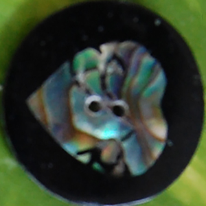 Nút vỏ từ <span class=keywords><strong>paua</strong></span> <span class=keywords><strong>Inlay</strong></span> tình yêu Seashell đồ trang sức tình yêu nút vỏ <span class=keywords><strong>Inlay</strong></span> từ <span class=keywords><strong>paua</strong></span> thô & đánh bóng - Product Image 2