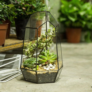 Glass Plant Box Irregular <b>Terrarium</b> Geometric Glass Best Quality Hanging Glass <b>Terrarium</b> Hot <b>Sale</b> Art Deco Design <b>for</b> Tabletop - Product Image 3
