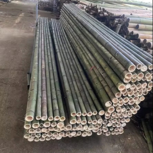 Pôles de bambou brut de source vietnamienne pour la fabrication de meubles durables et les systèmes de soutien des plantes agricoles, aménagement paysager robuste du jardin - Product Image 1