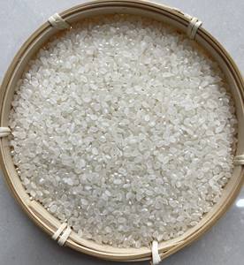 Proveedor Mayorista de Arroz Japonica que Ofrece Arroz de Grano Corto con Textura Suave para Exportación y Uso Culinario - Product Image 5