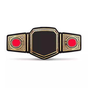 Top demandado Cinturones hechos a medida Cinturones de boxeo de lucha libre Authentic Wear Universal Belt para hombres y mujeres - Product Image 4