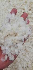 เครื่องชั่งน้ำหนักปลาแห้ง/ปลากะพงบารามันดี/ปลาช่อน/หัวงู/ทาลาเปีย (ปลานิล) กล่องขนาดใหญ่/แอนนาโด - Product Image 2