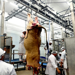 Rinder-Mini-Schlachthof-Ausrüstung Halal-Schlachthaus für Kühe Rindfleisch-Metzgerei-Ausrüstung Komplette Schlachtanlage-Maschinen - Product Image 1