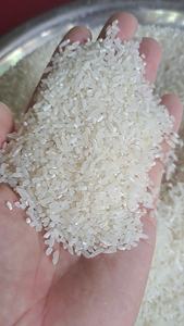 Arroz Blanco de Grano Corto Orgánico de Jazmín, 5% de Grano Partido, Textura Dura, Seco, Vilaconic 2024, Origen Vietnam - Product Image 4