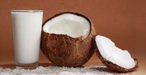 Lait de coco en canettes-Prix de gros, 100% pur et frais-Ms. Beatrix - Product Image 3