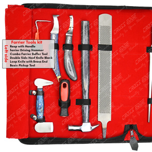 Bulk Veterinary Farrier Tool Kit Hoof Knife Double-Edge 13 Inch Nail <b>Puller</b> 12 Inch Nail Nipper Hoof Rasp File & Pickup Tool - Product Image 3