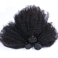 Lot de Cheveux Afro Crépus Kinky Vierge Mongoliens de Qualité Supérieure 10A – Tissage Cheveux Humains Afro Kinky 4A 4B 4C