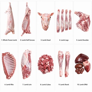 Wholesale Frozen Lamb Meat Bulk Supply Vacuum Packed Halal Certified Supplier - Product Image 1