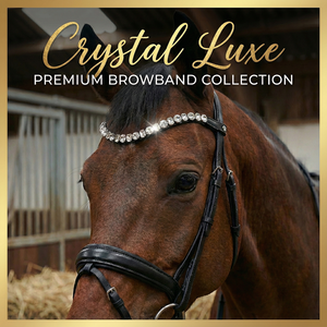 Elegante Brida de Cuero Negra para Caballo con Diadema de Cristal, Diseño Curvo con Pedrería, Color y Tamaño Personalizables, Empaque Personalizado - Product Image 3