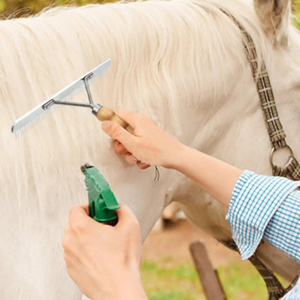 Frazier Stainless Steel Veterinary Horse Nail Rake Comb Long <b>Tooth</b> Horse <b>Brush</b> for Large <b>Dog</b> Longhair Cat Horse - Product Image 4