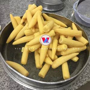 Maïs sucré en conserve avec le meilleur prix, prêt à l'exportation en grande quantité auprès d'un fournisseur vietnamien - Product Image 5