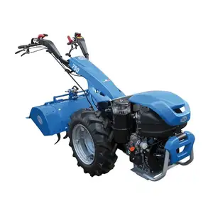 Tractor de mano para granja de 2 ruedas/Mini tractor para caminar agrícola de dos ruedas a la venta en Europa