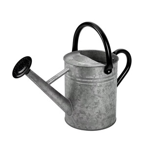 Pot d'arrosage en acier galvanisé d'approvisionnement direct d'usine avec bec de pulvérisation amovible - Product Image 3