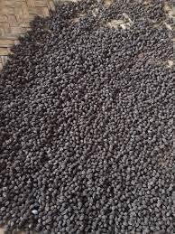 Graines de papaye séchées propres-Processus de production avancé, garantissant les normes internationales de sécurité alimentaire-BLUE LOTUS VIETNAM - Product Image 2