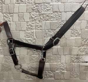 Licou en cuir réglable de qualité supérieure pour chevaux avec rembourrage souple, raccords en laiton durables et design élégant pour l'entraînement et les spectacles - Product Image 1