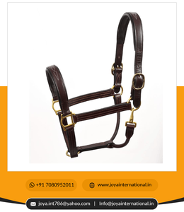 Nouveau licou de cheval équestre de luxe licou en cuir rembourré cousu fantaisie au meilleur prix du marché pliant - Product Image 2