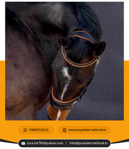 Nouveau Top Vente Équitation Bride Gear Halter Produits Équestres Premium Cheval Tête Collier Equine Headstall Bridle - Product Image 4