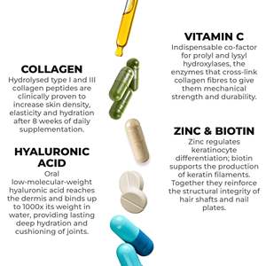 Integratore Alimentare NH Skin 60 Capsule 400mg per la Luminosità della Pelle Maschile e Anti-Invecchiamento RedMoringa OEM Etichetta Privata Prodotto in Italia - Product Image 3
