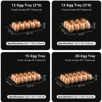 Boîte d'emballage en plastique PET transparent jetable pour œufs, type clamshell, 4-30 œufs, conteneur transparent de qualité alimentaire, vente en gros