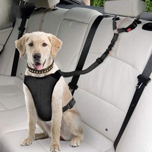 Cinturón de Seguridad para Mascotas Qbellpet, Correa Reflectante, Arnés Ajustable, Cinturón de Seguridad para Perros - Product Image 2