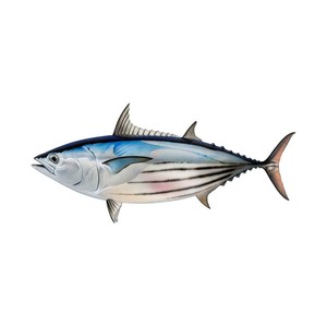 Atún de aleta amarilla congelado, grado de exportación, humedad controlada y listo para los mercados mundiales de alimentos - Product Image 5