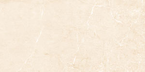 Carreaux de porcelaine imprimés numériques de beau modèle de conception européenne fabriquant en Inde pour la salle de séminaire. - Product Image 2