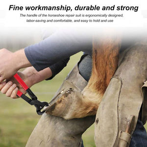 Premium Professional 8PCS Farrier Tools Kit Horse Hoof Trimmers para veterinarios y jinetes Herramientas veterinarias de acero inoxidable - Product Image 5