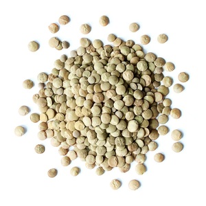 Lentejas Verdes Crudas Secas Orgánicas Sin GMO al por Mayor de Fábrica - Product Image 4