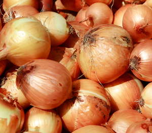 Cebollas Rojas Orgánicas de Alta Calidad, las Más Vendidas - Product Image 4
