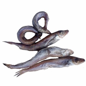 Pescado Entero de Hake de Aleta Larga Congelado envasado al Vacío de Alta Calidad - Product Image 5