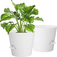Pot de fleurs Idealife, lot de 2, en plastique, auto-arrosant, moderne, pour la maison et l'intérieur, pour les succulentes et les cactus