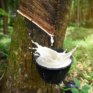 CAOUTCHOUC NATUREL RICHE EN LATEX/HAUTEMENT ADAPTABLE/MATÉRIEL PREMIUM/FABRIQUÉ au VIETNAM - Product Image 4