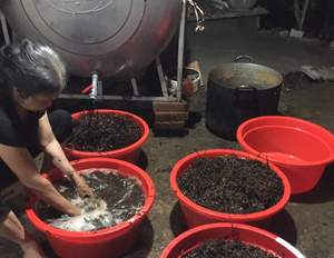 Les ingrédients utilisés pour cuisiner vietnamien Suong Sao gelée-aliments frais - Product Image 4