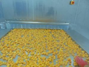 MEILLEUR VENDEUR Vietnam Mangue Congelée 2025 IQF Fruit Tropical Doux Naturel Haute Qualité Disponible Exportation Mondiale Meilleur Prix - Product Image 3