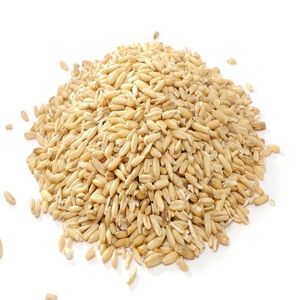 Grano de Trigo Barato/Grano de Trigo de Molienda Suave de Ucrania, Granos de Trigo para Consumo Humano y Animal - Product Image 1