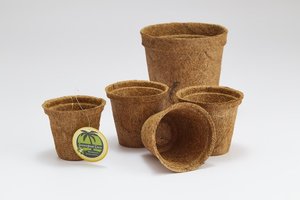 Pots de coco écologiques et durables pour la floriculture et l'hydroponie à base de fibre de coco 100% biodégradable - Product Image 2