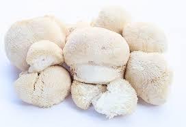 Hongo Melena de León Orgánico Cultivado de la Mejor Calidad de Nueva Temporada, Hericium Erinaceus Seco a Granel, Hecho en Vietnam - Product Image 2