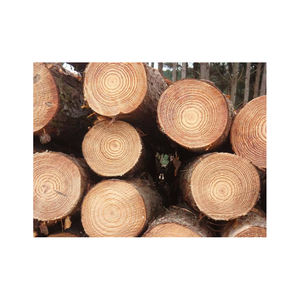 Change Material Mixed Woods <b>Oak</b> Ash Pine Birch Industrial Hydraulic Wood Debarker Machine for Pine Tree and Forestry for <b>Log</b> - Product Image 4