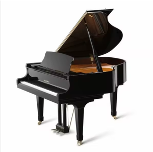 Piano Digital de Alta Calidad C1X-PE, Opciones de Color Ébano Pulido, Alimentación por USB, Batería de Litio, Diseño Compacto, Efecto Eco - Product Image 1