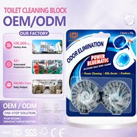 Blocs nettoyants solides pour cuvettes de toilettes 250g – Écologiques, nettoyage puissant, élimine les germes et les odeurs, fraîcheur citron