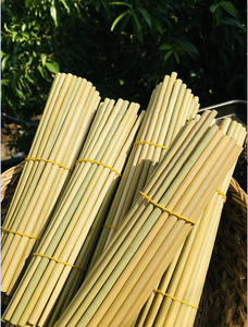 Top seller 2025 Natural Disposable Grass Straws bulk quantity for wholesale low price from Eco2go Vietnam - Product Image 6