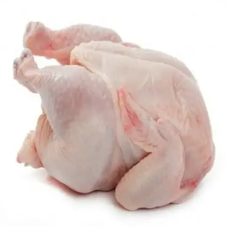 Pollo intero congelato Halal fresco di prima qualità/zampe di pollo congelate/petto di pollo congelato