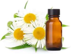 100% คาโมไมล์บริสุทธิ์โรมันไฮโดรโซลคาโมมายล์โรมันไฮโดรโซลธรรมชาติ - Product Image 3