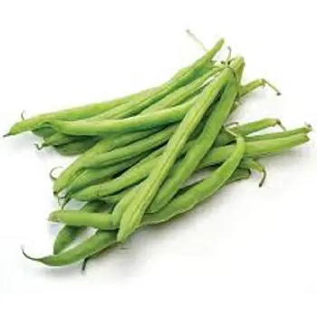 Agriculture Products Frozen Vegetables Export Standard Cooking Frozen Green Beans From Vietnam Manufacturer