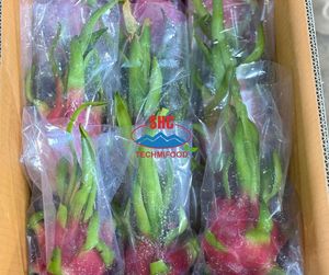 Fruta fresca de dragón Pitaya, fruta tropical de carne blanca y roja de origen vietnamita para importadores, supermercados y distribuidores - Product Image 1