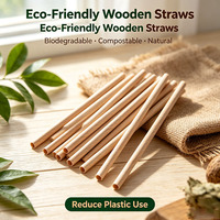 Pailles en bois en gros, pailles jetables écologiques, pailles en bois naturel pour restaurants et cafés