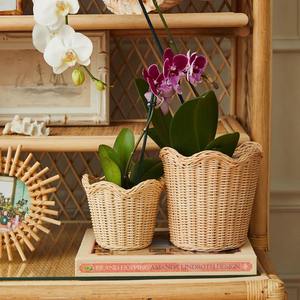 Panier de rangement en rotin écologique, best-seller, pour la décoration de la maison, tailles personnalisées disponibles - Viettimecraft en gros - Product Image 4