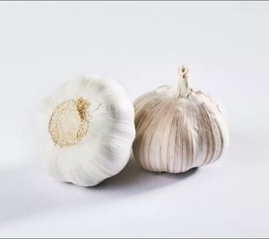 Bolsa de malla de 10kg de ajo blanco normal orgánico fresco nuevo cultivo - Product Image 3