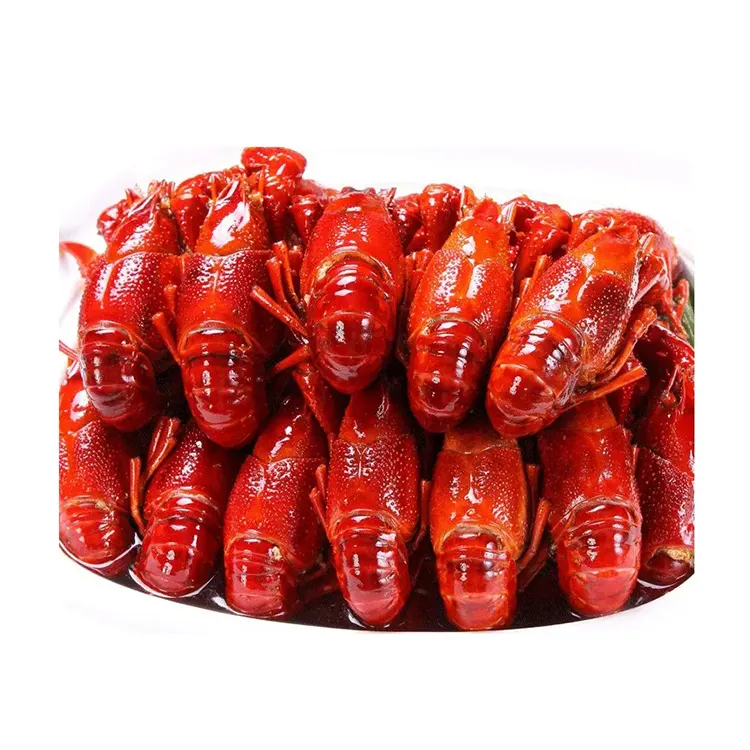 Seafood Fresh and Frozen Lobster, Lobster Tails For Sale at Wholesale Price